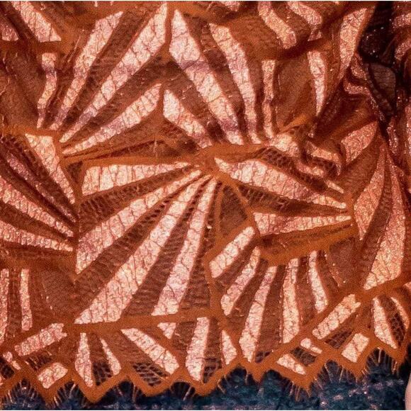NWT Eva Franco Anthropologie Shine Lace Blouse in Copper, Sz L - Picture 4 of 12
